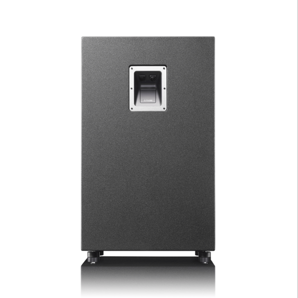 Ascendo Immersive Audio SMS12-P Passive Subwoofer - Image 2