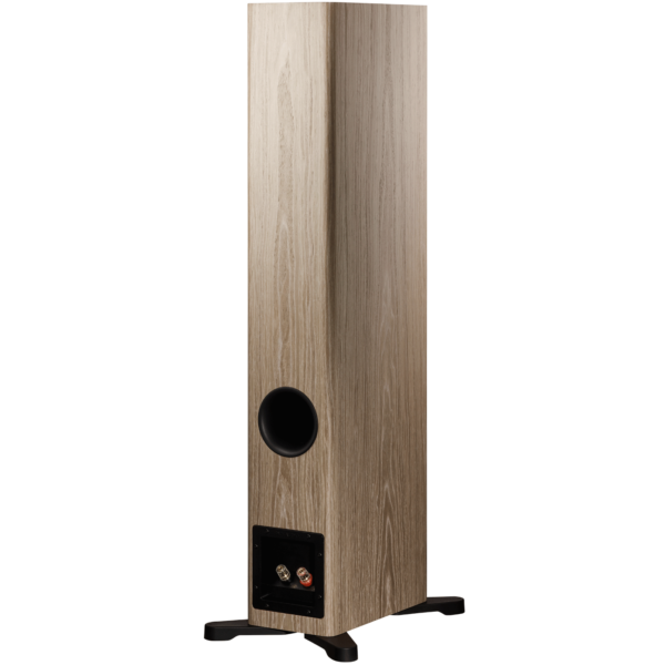 Dynaudio Evoke 30 - Image 14