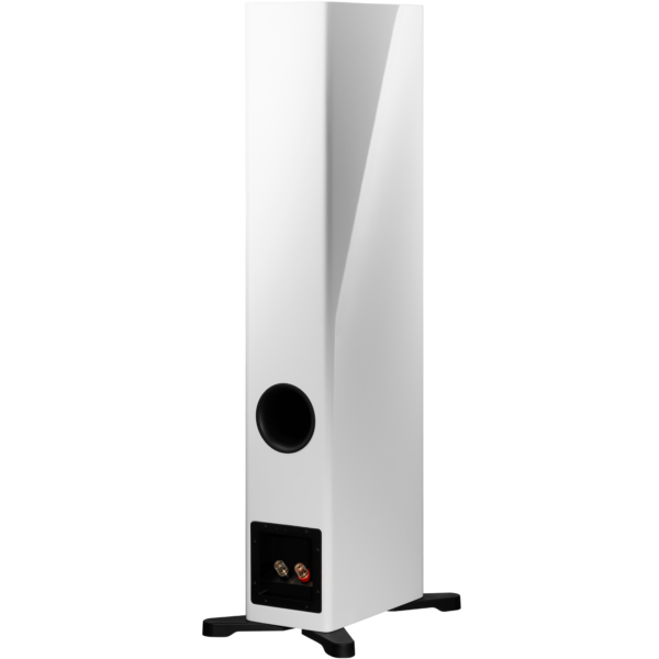 Dynaudio Evoke 30 - Image 9