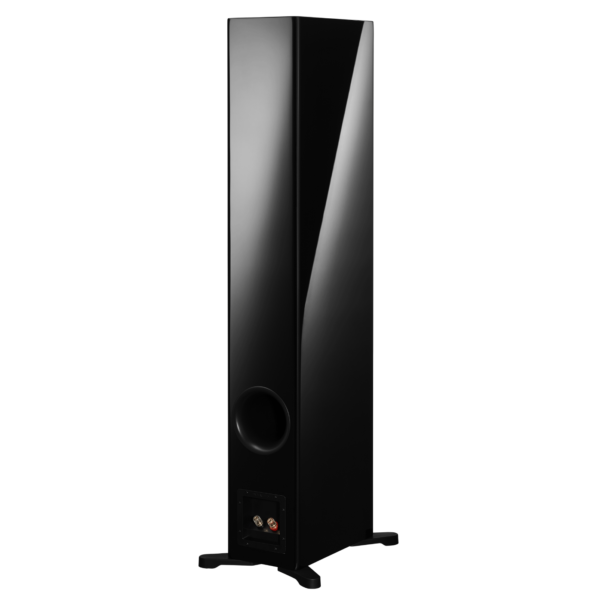 Dynaudio Evoke 50 - Image 4