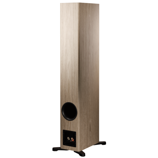 Dynaudio Evoke 50 - Image 8