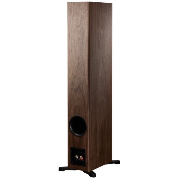 Dynaudio Evoke 50 - Image 13